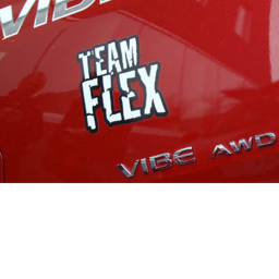 FLEX race CS -champion ships-