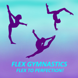 Flex Gymnastics Public Gym!