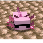 Poopyopants