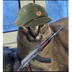 Floppa Army!!!!