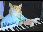 Key Board Cat