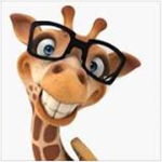 Hello Giraffe squad!