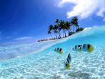 Jxrdxn Group Of Silly