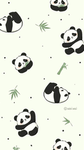 Pandi_Clara