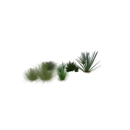 Realistic Bush/grass set