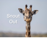 Forgotten Snouts