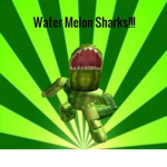 Melon Shark HQ