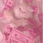 Kitty 고양이