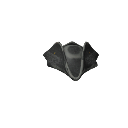 Real Pirate Hat