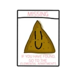 Missing Poster Nacho
