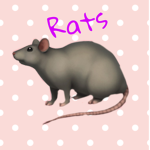The.rats.of.roblox