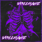 Vollhane