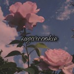 Sugarcookie group
