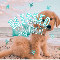 ✞︎ church! ♡