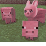 - S C A R Y -