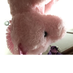 Unicorn squad come get in the unicorn squad