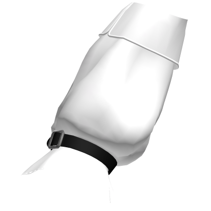 3.0 R6 Sleeves White Right