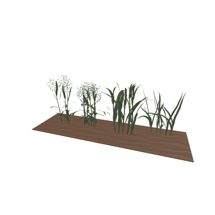 ☾✨ || Oat Plants // Mesh