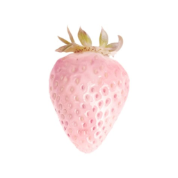 💗⋆｡°