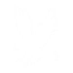 Armed Forces of Arcania