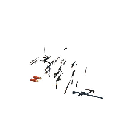 ACS 2.0.1 guns