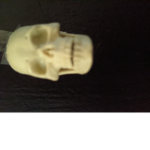 Shadow skullls