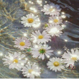 ❀