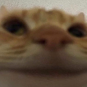Baro Meow Cult