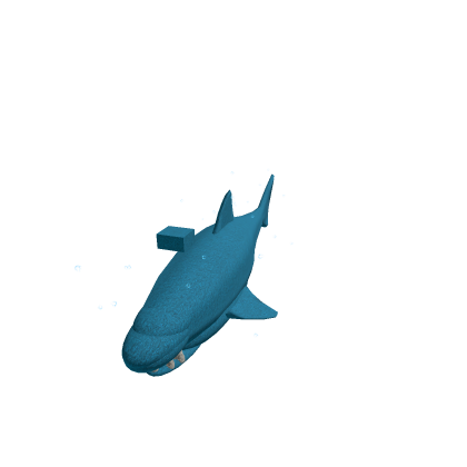 🐳 Bestia Ballena