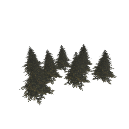 🍂 UPDATED tree forest