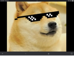 Doge coins studios