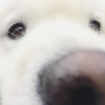 [ Content Deleted 4428141 ]