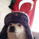 SAÇMA GÜZEL GRUP