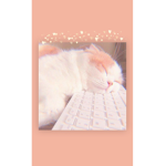 ._Kitty Squad_.