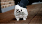 The Moustache