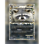 rabid raccoons