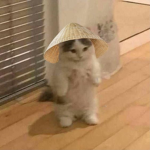 ʕ·͡ˑ·ཻʔ
