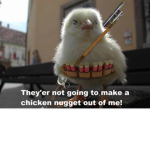 epic chickens join