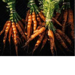 not a thing in this place