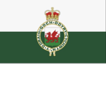 The 56th Welsh Dragoons