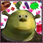 Youtuber funs group