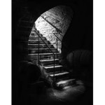 Basement lives