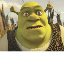The shrek stalkers home