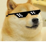 PlanetDoge