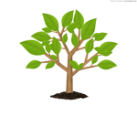 Green Tree