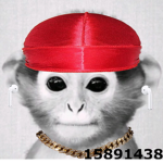 DrippyMonke