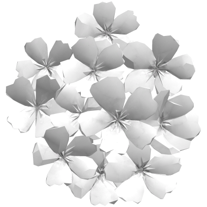 顔の花 white sakura flower face cluster