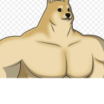 Doge123good