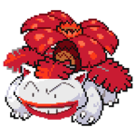Edmund Team
