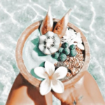 Kay’s Tropical